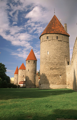 wall3